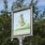 TheQuinceTreeUK