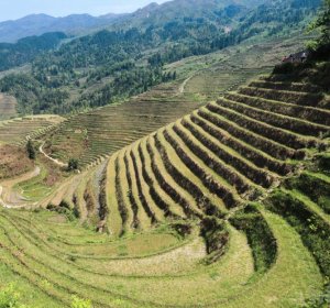 Defined terraced farming