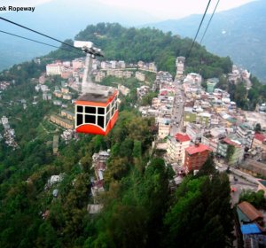 Definition of Terrace farming