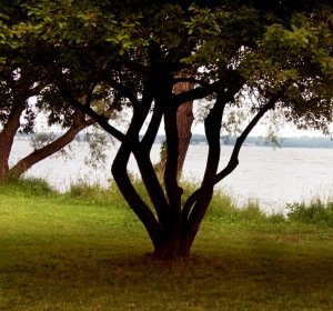 Lake Monona Madison WI