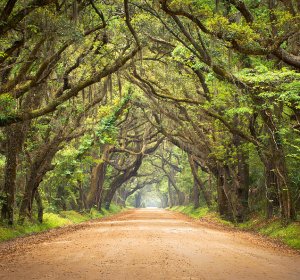 Movies Charleston South Carolina