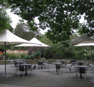 Terrace Cafe