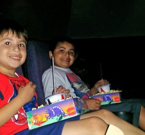 Terrace Cinema Theater